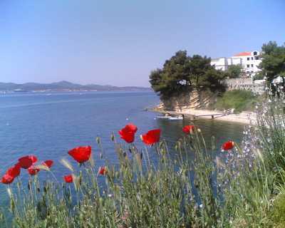 Ferienwohnungen SEA STAR Zadar